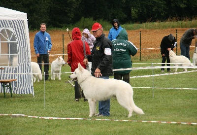 du domaine de la Graffenbourg - ALPENTROPHY 2010 Aurach en Autriche