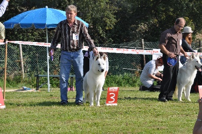 du domaine de la Graffenbourg - COUPE DES NATIONS 2011 BBI VI en Belgique