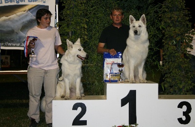 du domaine de la Graffenbourg - COUPE DES NATIONS IV BBI World winner show