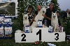  - COUPE DES NATIONS IV World winner show